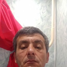 , 42, 
