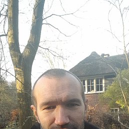 , 41, 