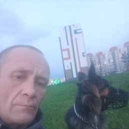 , 46, 