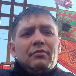 ������, ������, 37 ���