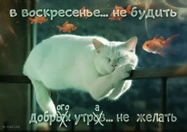      ...)