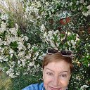 ���� �������, ��������, 64 ���� - ��������� 18 ��� 2025 � ������ ���� ����������