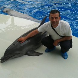 , 41, 