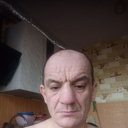 , 44, 