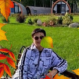 ����, �������, 65 ���