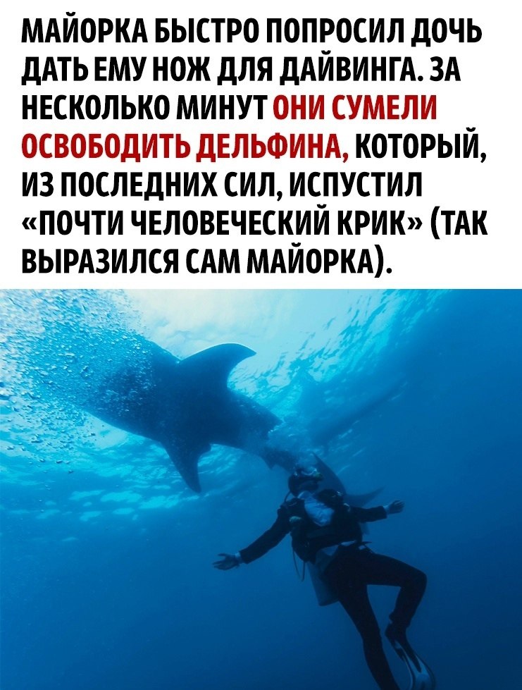       - 3