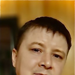 Damir, 42 ����, ���