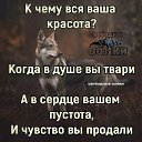 ���� ������, ������, 39 ��� - ��������� 24 ���� 2026 � ������ ���� ����������