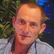 , 43 , 