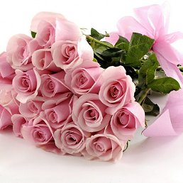 ���� ��������� �����������, ������, 57 ��� - ��������� 18 ������ 2023