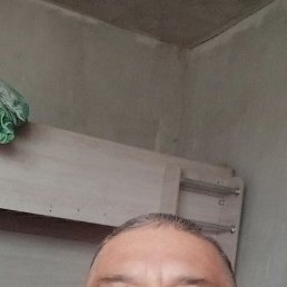 , 52, 