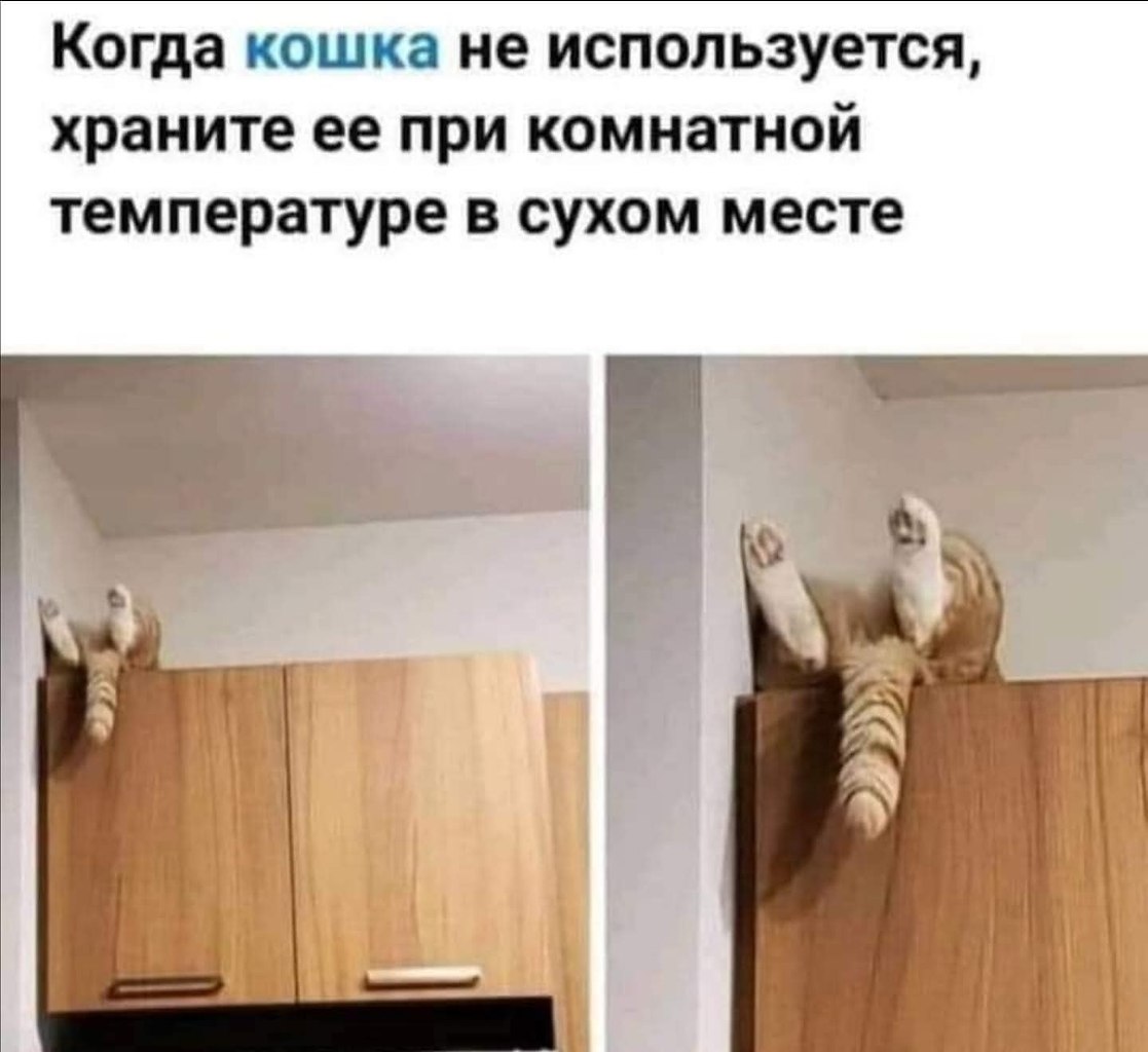:) ПИСЬМО ХИХИАТРУ.Доктор Кукушкин велел мне писать, как все началось. А началось все с того, я ...