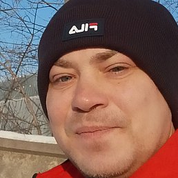 �����, ������, 36 ���