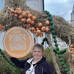 , 65, 