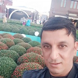  , 34, 