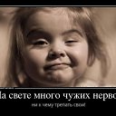 ���� ˸��, �����-��������� - ��������� 31 ������� 2025