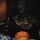 ���� �������, ������, 34 ���� - ��������� 27 ������� 2025 � ������ ���� ����������