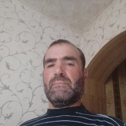 , 51, 