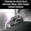  ,  -  13  2025    