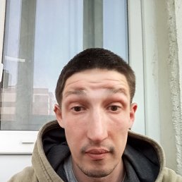 , 33 , 