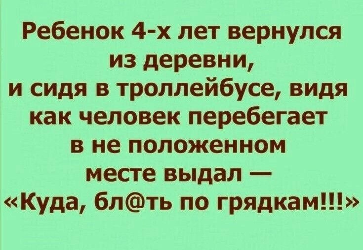   . - 14  2025  05:38