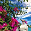 ���� ������, ������, 62 ���� - ��������� 28 ������� 2024 � ������ ���� ����������