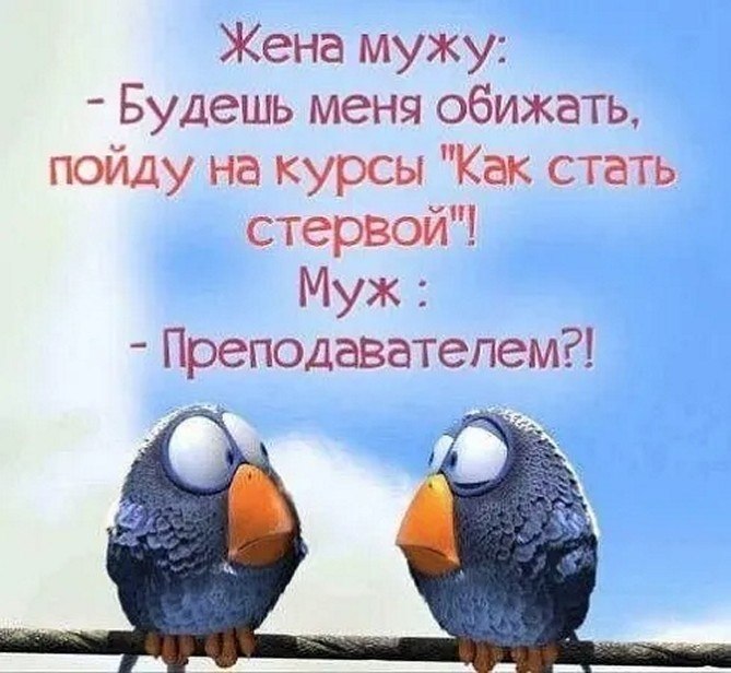 ☆������ �����☆ - 1 ������ 2026 � 16:20