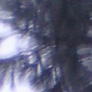 �������, 49 ���, ������