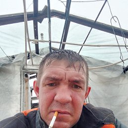 , 41, 