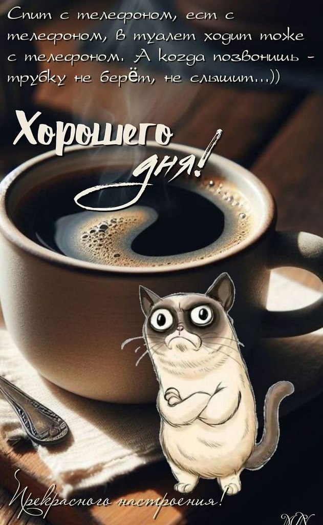   ,    . - 1  2025  13:11 - 3