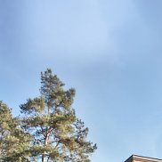 �������, 45 ���, ������