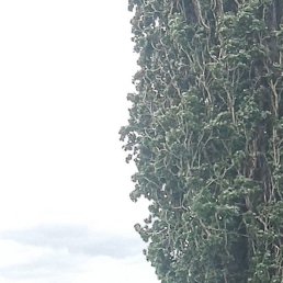 , , 53 