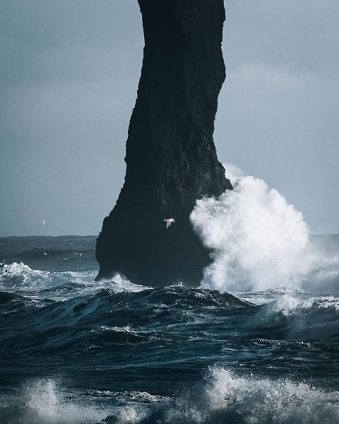 �������� - 4