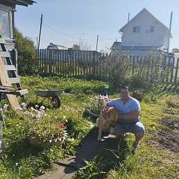 ��������, ���������, 44 ����