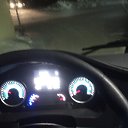 ���� ���� ������, �����������, 43 ���� - ��������� 27 ������� 2024 � ������ ���� ����������