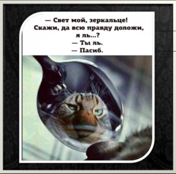   - 7  2025  21:06