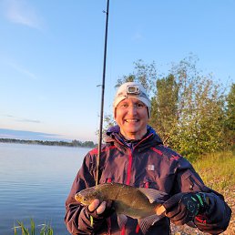 �������, �����, 46 ���