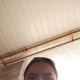 , 33, 