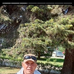 , 49 , 