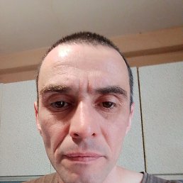 , 41, 