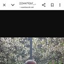  , , 44  -  14  2025    