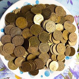 ������, ������-��-����, 66 ���