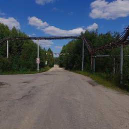 �����, ������, 63 ����