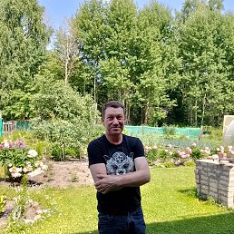 , 53 , 
