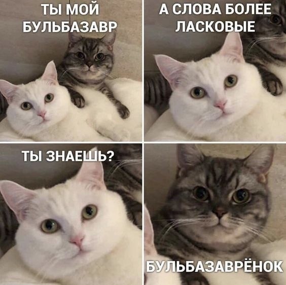  ...   !