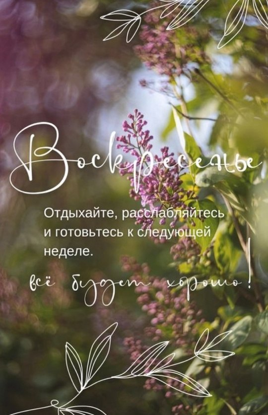   ,    . - 18  2025  08:10