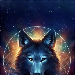 ����, ��������, 26 ���