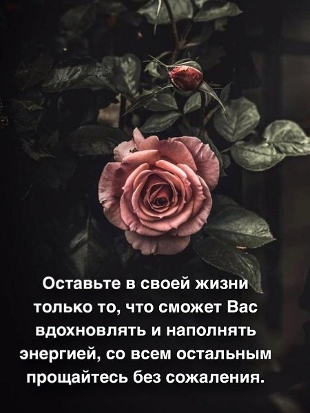 Каждый момент — это возможность для роста и развития.