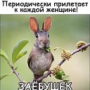  ,  -  28  2024    