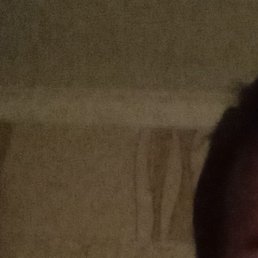 ������, �����������, 39 ���